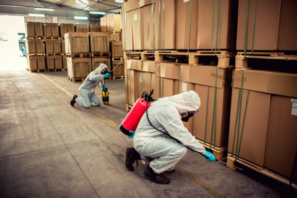 Best Ant Control Services  in Big Bear Lake, CA