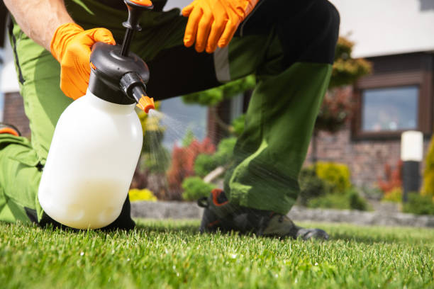 Best Commercial Pest Control Services  in Big Bear Lake, CA