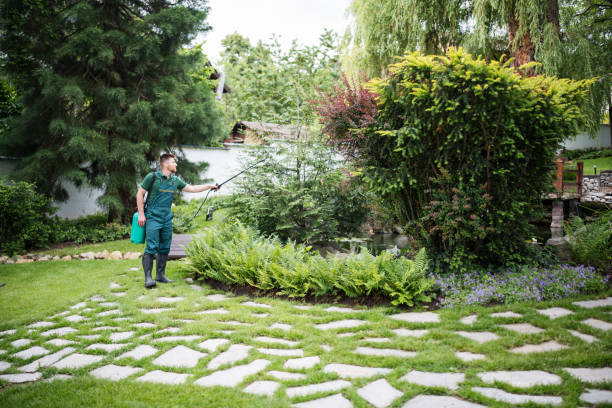 Pest Control Cost in Big Bear Lake, CA