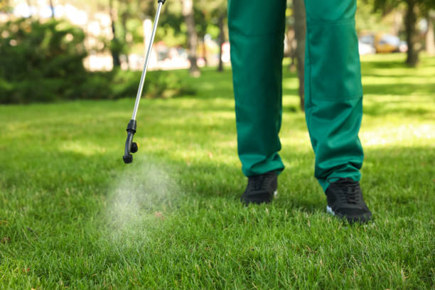 Big Bear Lake, CA Pest Control Company