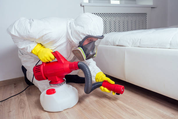 Best Wasp Removal Services  in Big Bear Lake, CA
