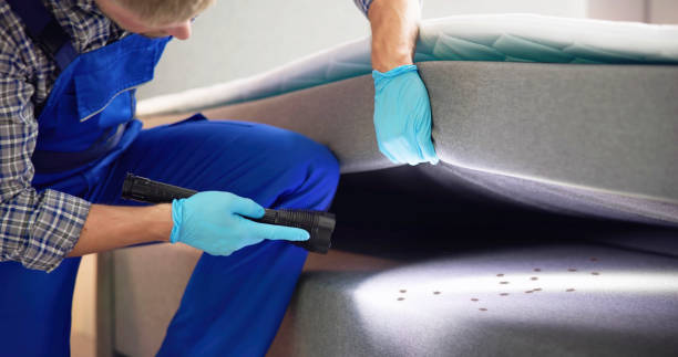 Pest Prevention Services in Big Bear Lake, CA