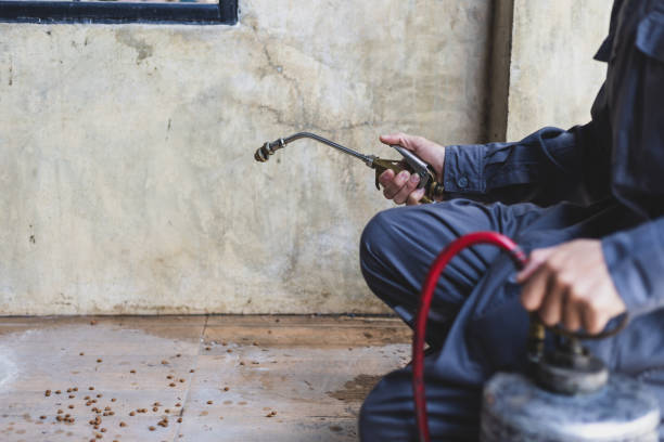 Best Affordable Pest Control Services  in Big Bear Lake, CA